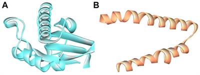 Methyltransferase as Antibiotics Against Foodborne Pathogens: An In Silico Approach for Exploring Enzyme as Enzymobiotics